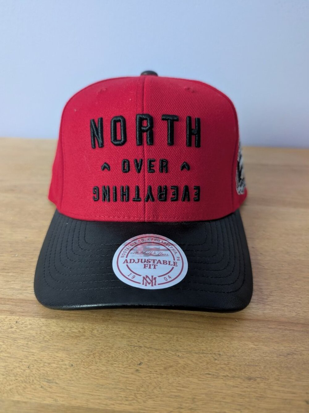 BNWT Raptors Hat - North Over Everything